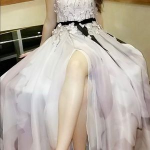 Terani prom dress
